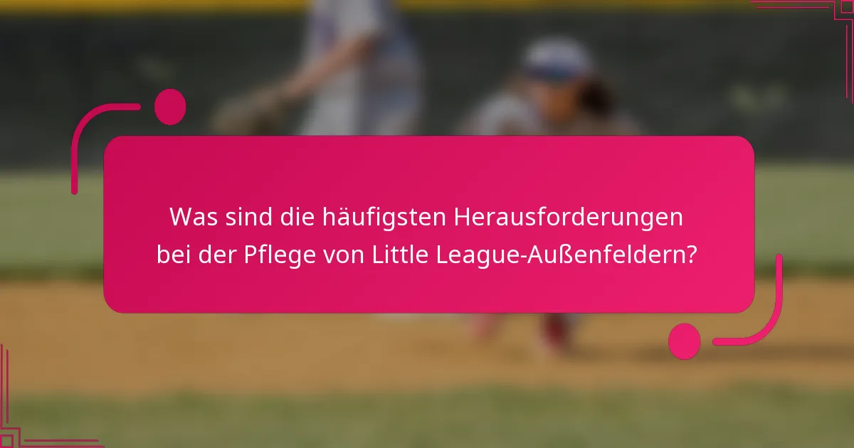 Was sind die häufigsten Herausforderungen bei der Pflege von Little League-Außenfeldern?