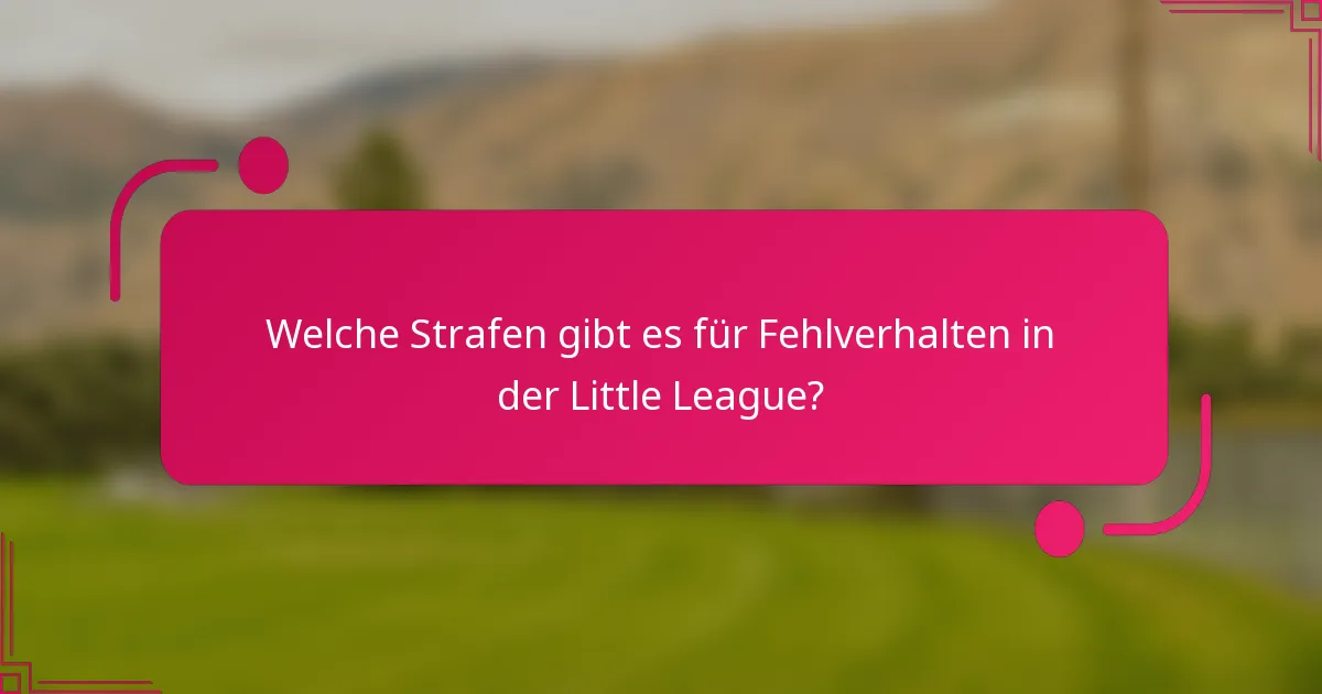 Welche Strafen gibt es für Fehlverhalten in der Little League?